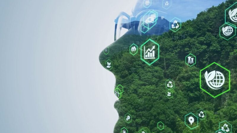 Silhouette humaine avec superposition de forêt et dicônes vertes liées au développement durable symbolisant lharmonie entre technologie et environnement