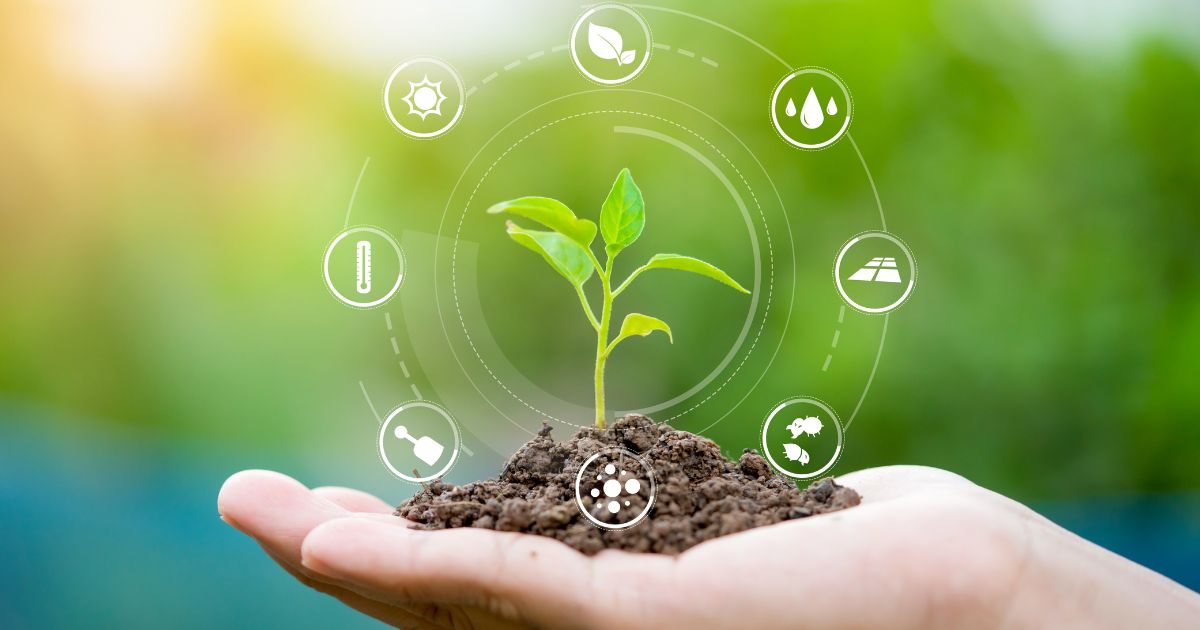 Main tenant une jeune plante avec des icônes IoT agricoles autour représentant lagriculture intelligente