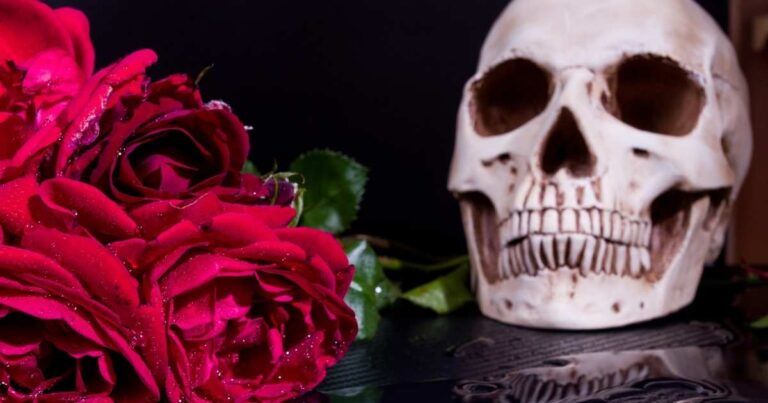 Crâne humain et roses rouges symbolisant le sacrifice et la dualité entre vie mort et amour