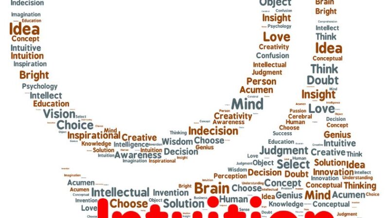 Nuage de mots en forme de tête humaine avec Intuition en rouge au centre